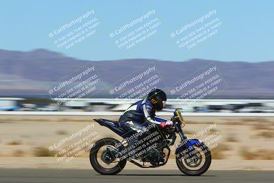 media/Mar-12-2022-SoCal Trackdays (Sat) [[152081554b]]/Back Straight Speed Shots (1045am)/